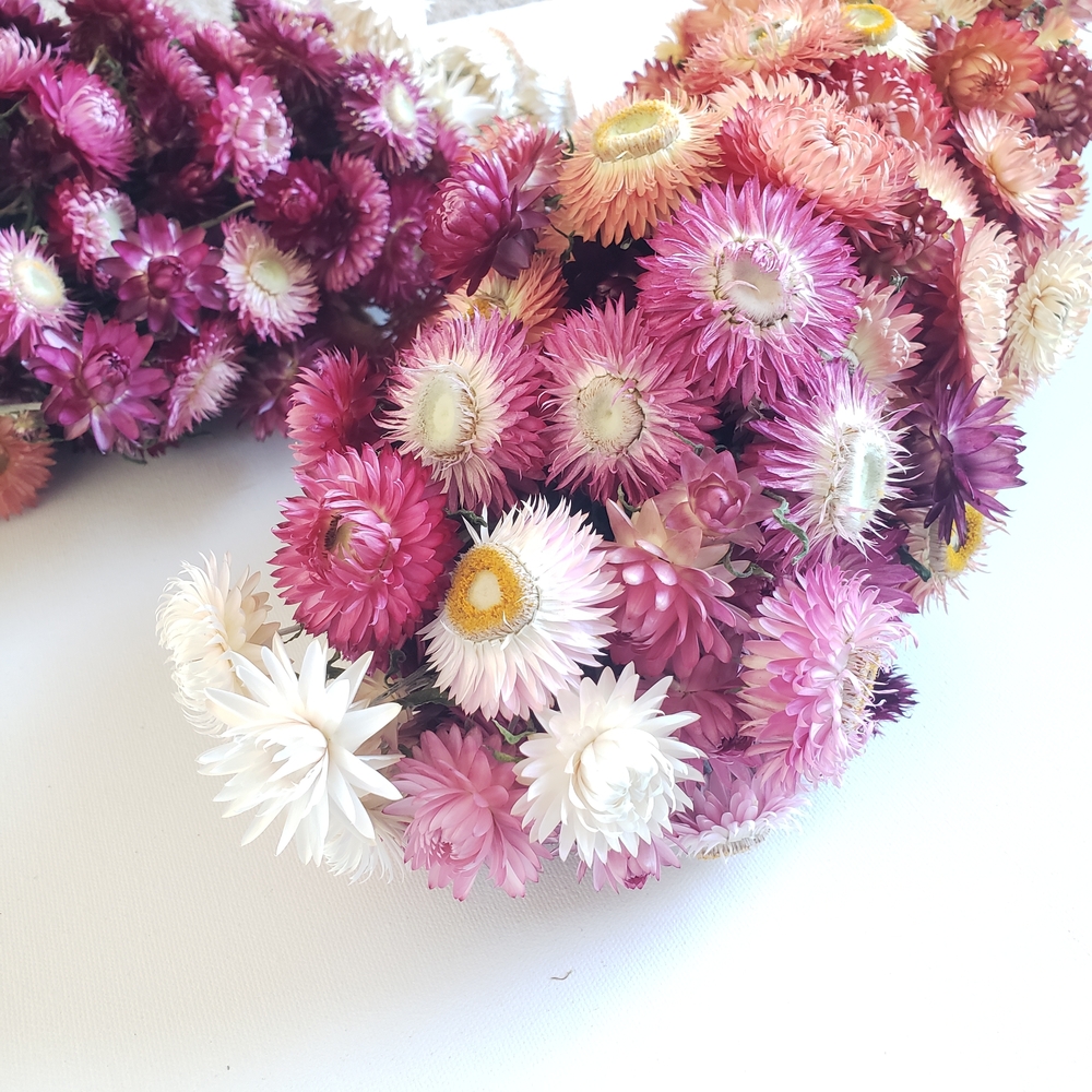 Dried Strawflower Bundles For Garland Wreath Making Wedding Favors Bud Vases